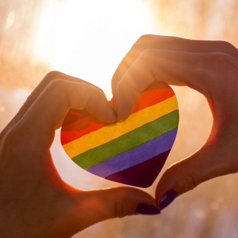 same-sex partner visa