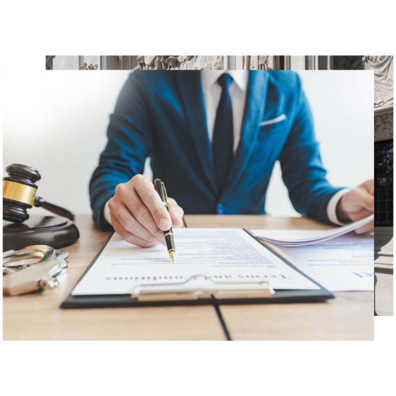 immigration removal solicitors